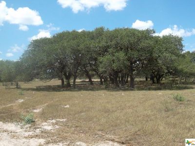 0 Fm 2506, Fannin, TX, 77960