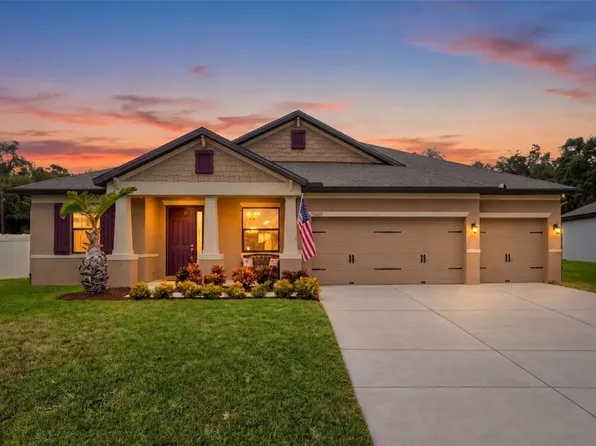 11020 BRAHMAN RANCH CIRCLE, RIVERVIEW, FL 33578