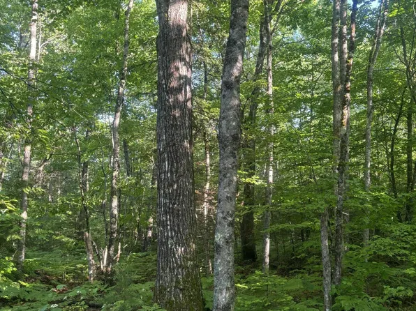 14-4 Perkins Road, Burnham, ME 04922