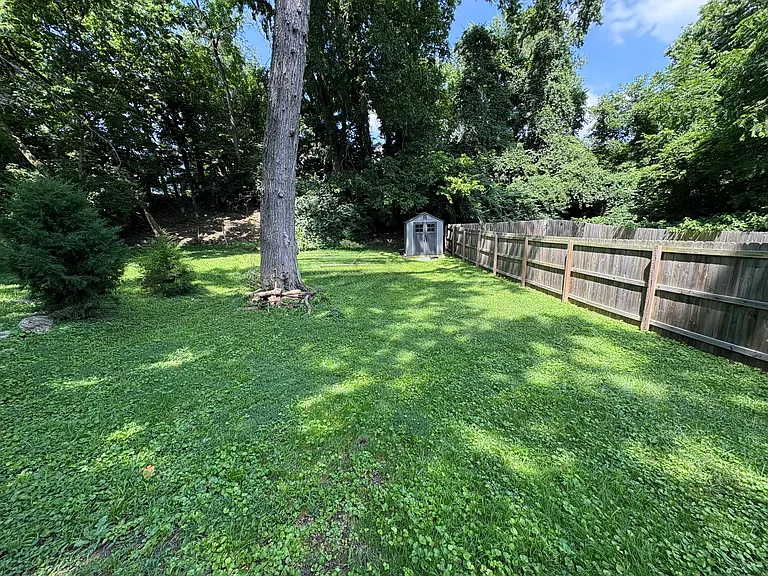 Lower backyard
