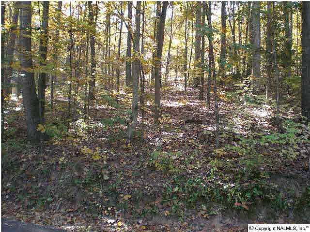 1st image of Lindsey Ln