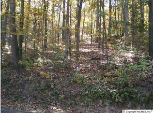 Lindsey Ln, Guntersville, AL 35976