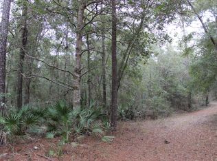 73 Northwest Way, Bell, FL 32619