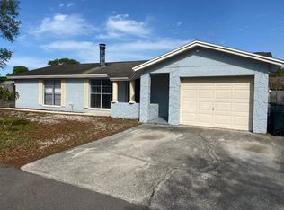 10101 Hunters Point Ct, Tampa, FL 33615