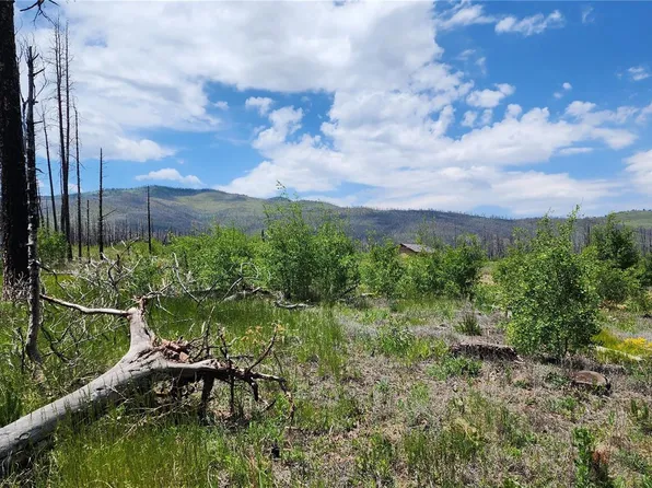 Lot 1332 Biaggini Lane, Fort Garland, CO 81133