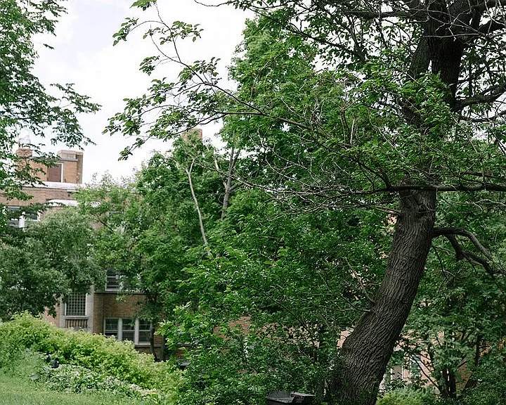 Lakeshore Arms — Photo 17