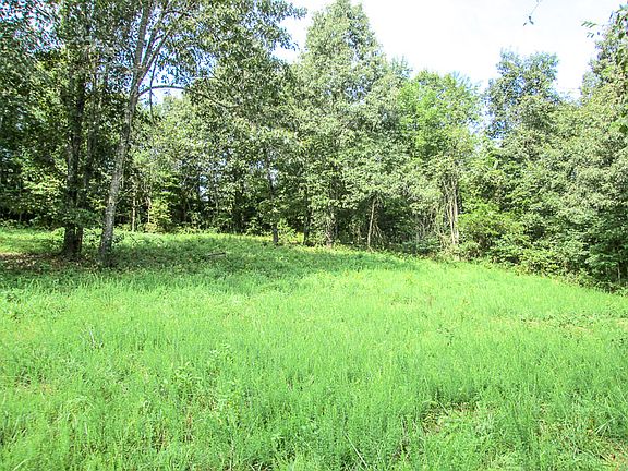 2nd image of 337 Robert Rd