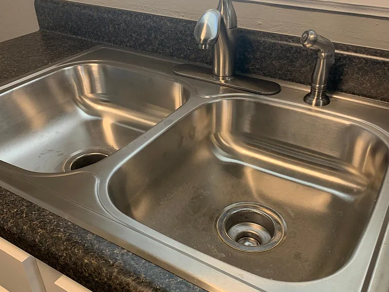 Shiny new double sink with new faucet and sprayer