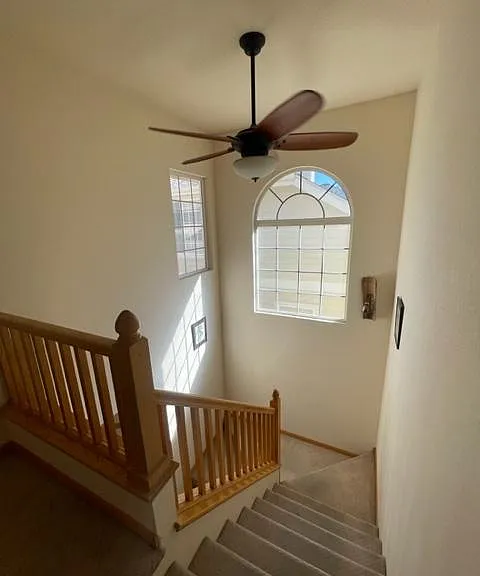 3500 Swanstone Dr #6 — Photo 15