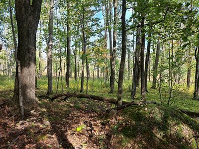 Meadow Ln, Sturgeon Bay, WI, 54235