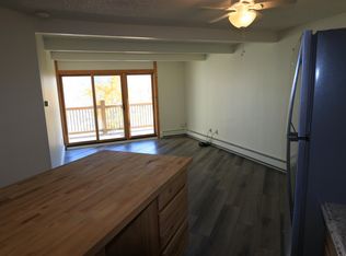 2440 Ryan Gulch Ct, Silverthorne, CO 80498