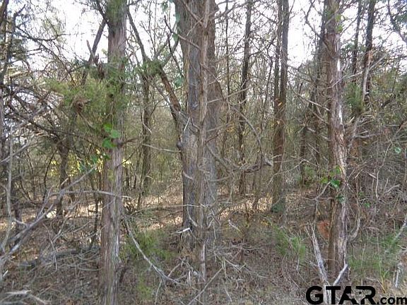 3rd image of County Road 4870