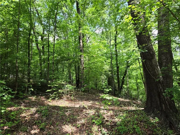 0 Ross Dr, Starr, SC 29684