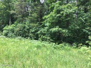 9715 N Brooks Rd, Irons, MI 49644