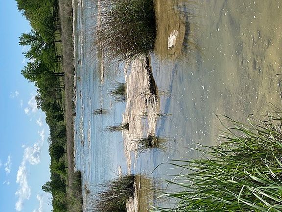 2nd image of 158 One River Point Dr E