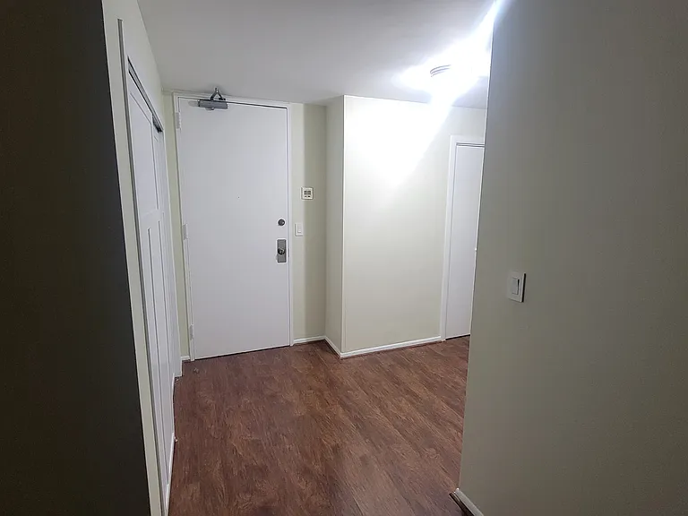 233 E Erie St #2201 — Photo 8