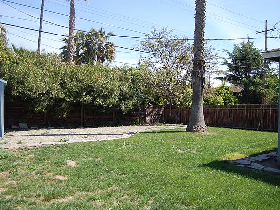 backyard2_04082014