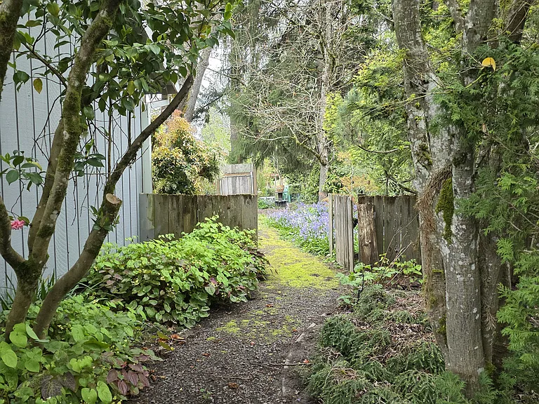 path to back yard