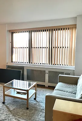 Rented by Luxus Manhattan Realty | media 58