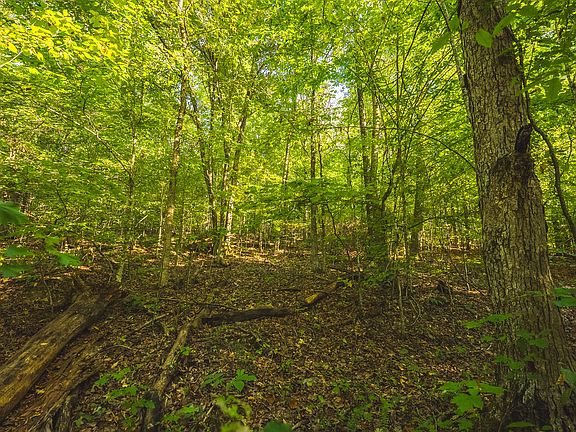 3rd image of Stone Mountain Rd