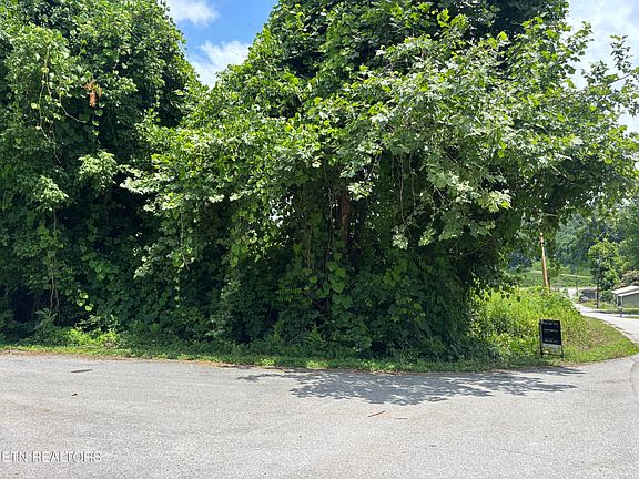 5th image of 0 Davis Hollow Rd