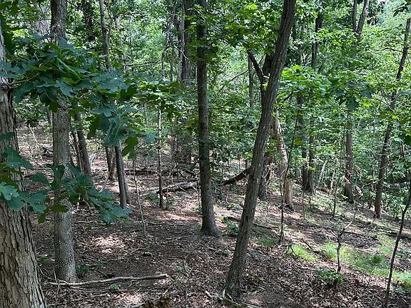 3rd image of 0 Forest Dr