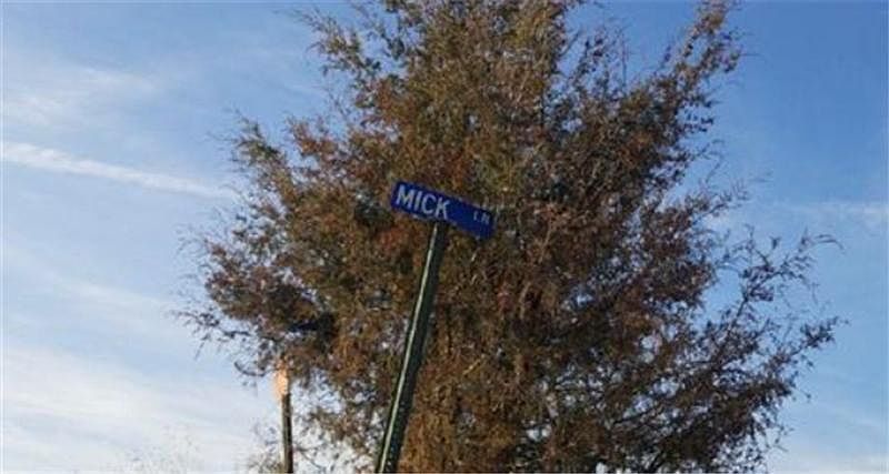 2nd image of 2601 Mick Ln
