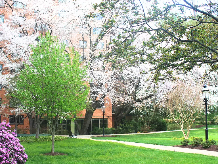 Outdoor Courtyard
