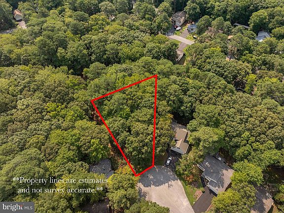 3rd image of 24 Sassafras Ln