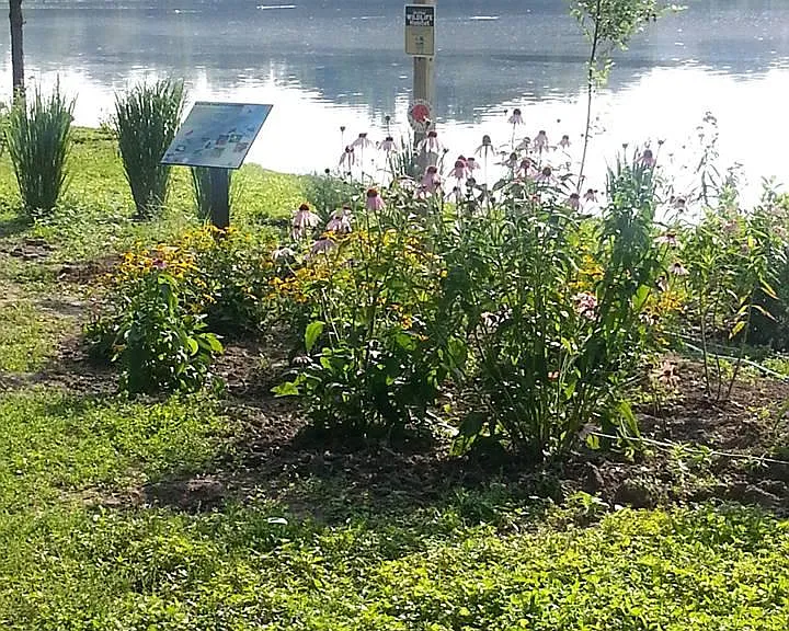 56 Oak Ave #A — Photo 7