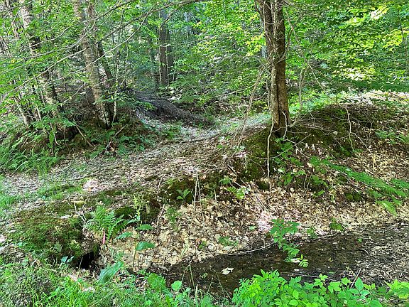 5th image of M9L140-G Wiley Road