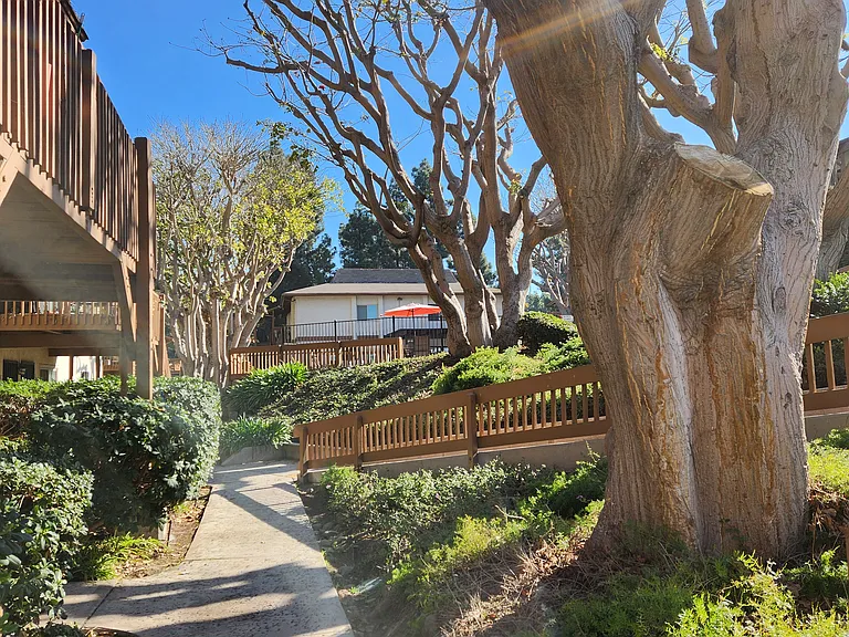 Community walk-ways.