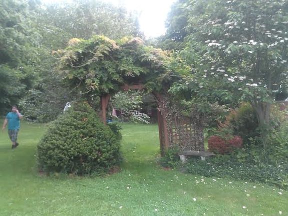 back yard