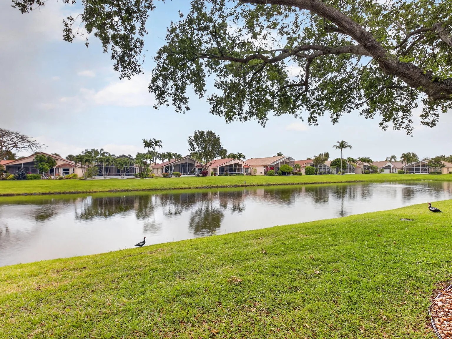 3 bed, 2.0 bath, 2015 sqft, $5,000 — Photo 2