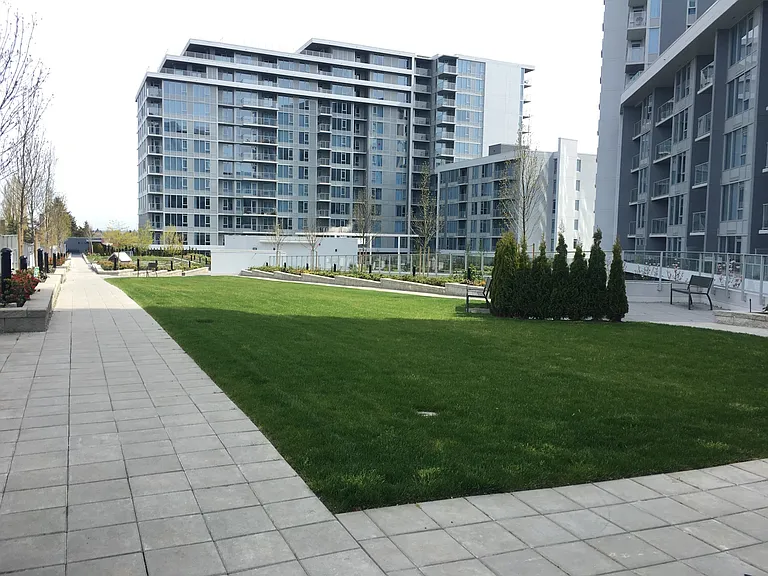 Condo facility - roof garden.