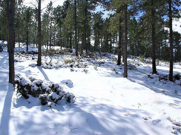 3rd image of 26785 Buffalo Butte Dr