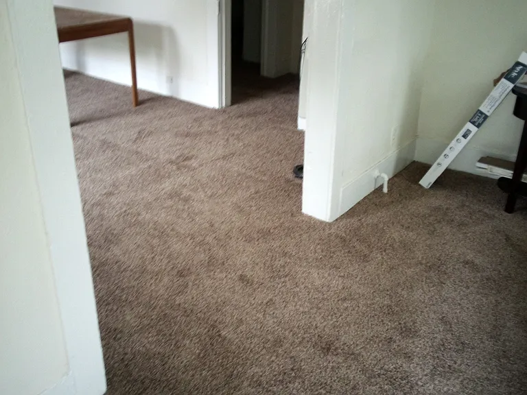 2516 Lawrence St — Photo 10