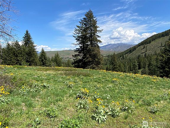 5th image of 102 Elbow Canyon Road