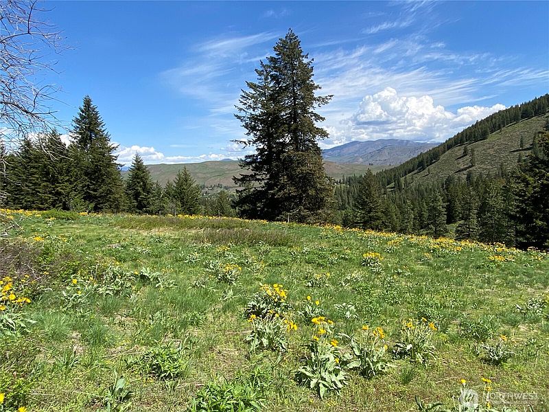 5th image of 102 Elbow Canyon Road