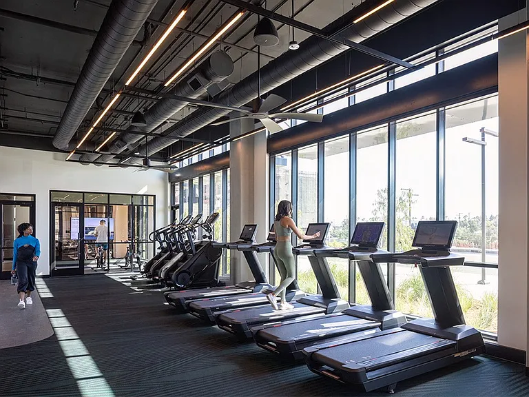 Orlo - Gym
