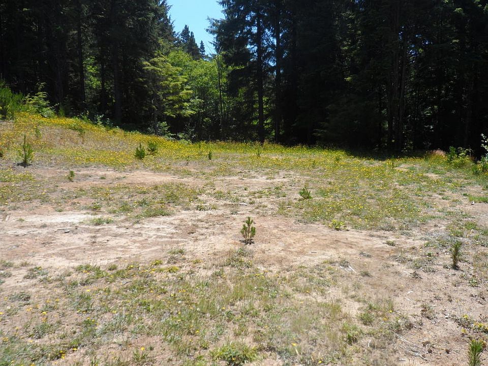 2nd image of TL 5 Se Wakeetum