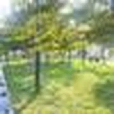 Rented by Peace of Mind Realty | media 9