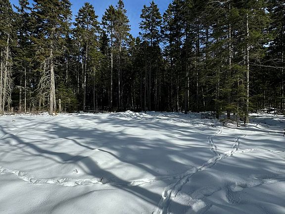 3rd image of 12 Jamestown Road