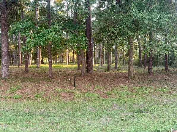 0 Fair Hope Dr NE Lot 72, Townsend, GA 31331
