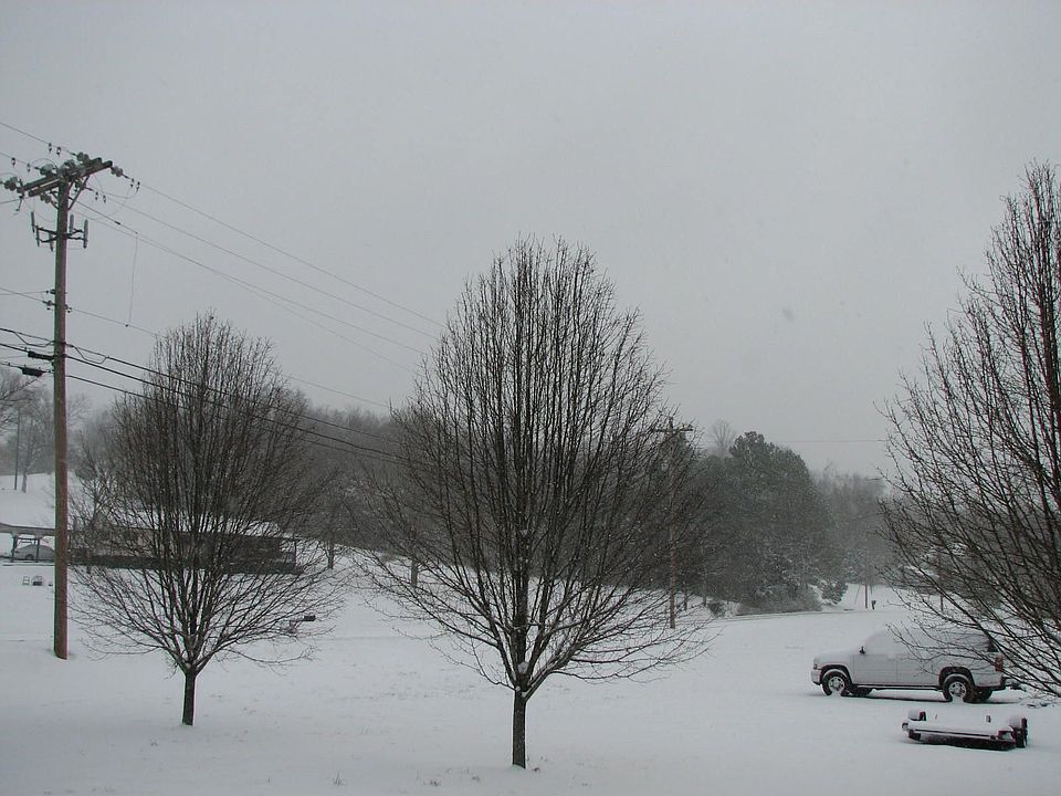 Little Snowstorm 2008