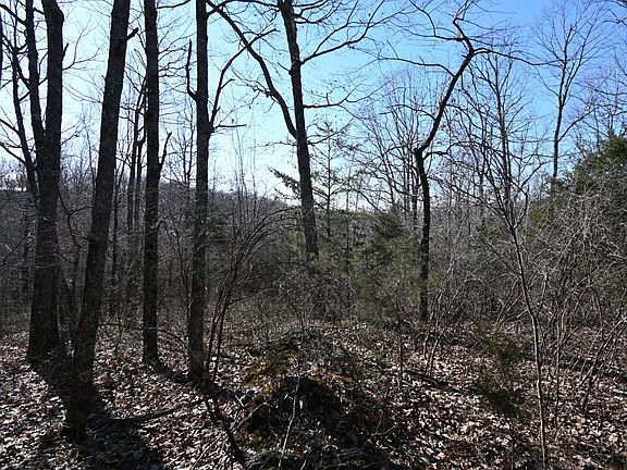 2nd image of 146 Wyatt Ln Lot 10