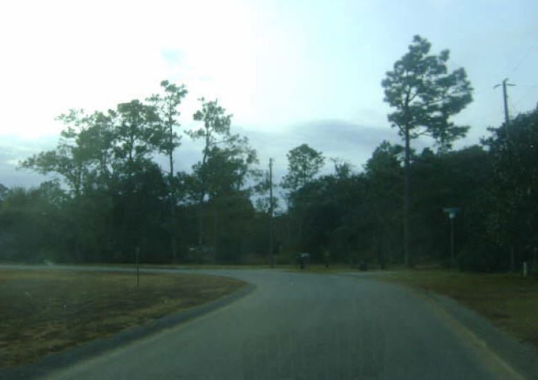 2nd image of 7241 Mimosa Dr S