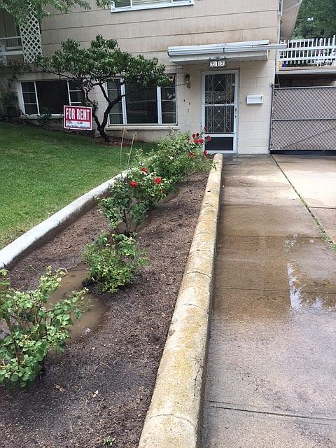 Downstairs unit driveway