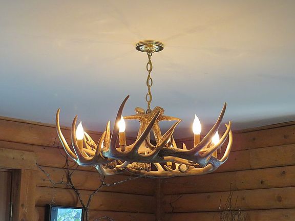Antler Chandelier