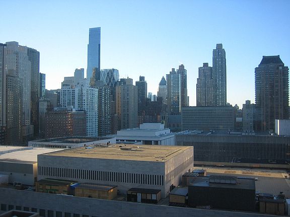 The View